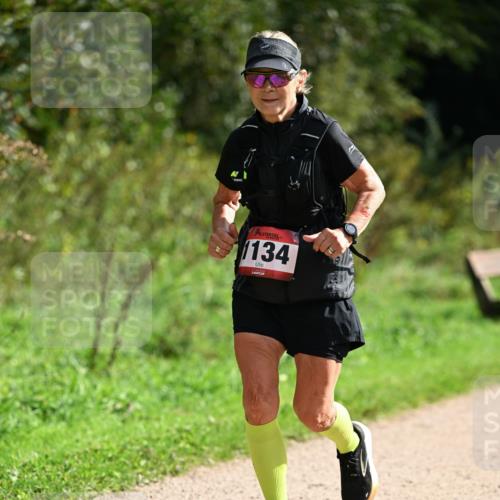 27.09.2026 - 35. Volkslauf durch das schöne Alstertal Dr. Thomas Lammeyer http://msf.ph/oto/10581920 27.09.2026 12:29:35 Laufen 1134 meine-sportfotos.de