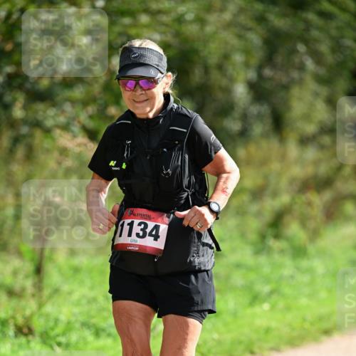 27.09.2026 - 35. Volkslauf durch das schöne Alstertal Dr. Thomas Lammeyer http://msf.ph/oto/10581928 27.09.2026 12:29:35 Laufen 1134 meine-sportfotos.de