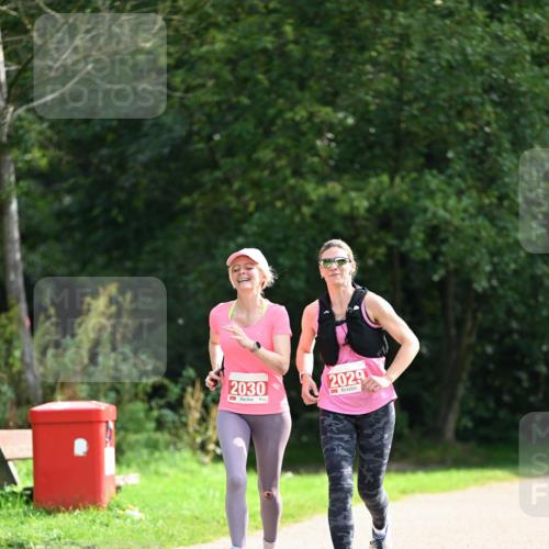 27.09.2026 - 35. Volkslauf durch das schöne Alstertal Dr. Thomas Lammeyer http://msf.ph/oto/10581929 27.09.2026 12:29:56 Laufen 2030, 2029 meine-sportfotos.de