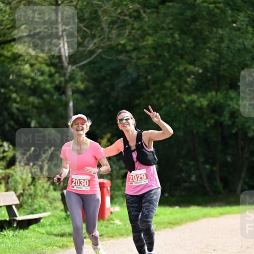 27.09.2026 - 35. Volkslauf durch das schöne Alstertal Dr. Thomas Lammeyer http://msf.ph/oto/10581944 27.09.2026 12:29:58 Laufen 2030, 2029 meine-sportfotos.de