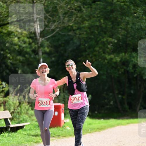 27.09.2026 - 35. Volkslauf durch das schöne Alstertal Dr. Thomas Lammeyer http://msf.ph/oto/10581945 27.09.2026 12:29:58 Laufen 2030, 2029 meine-sportfotos.de