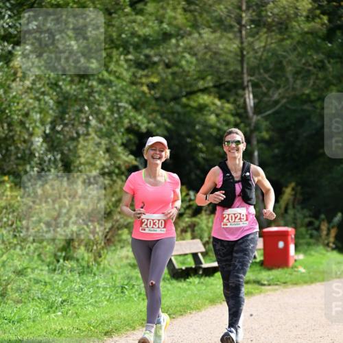 27.09.2026 - 35. Volkslauf durch das schöne Alstertal Dr. Thomas Lammeyer http://msf.ph/oto/10581953 27.09.2026 12:29:59 Laufen 2030, 2029 meine-sportfotos.de