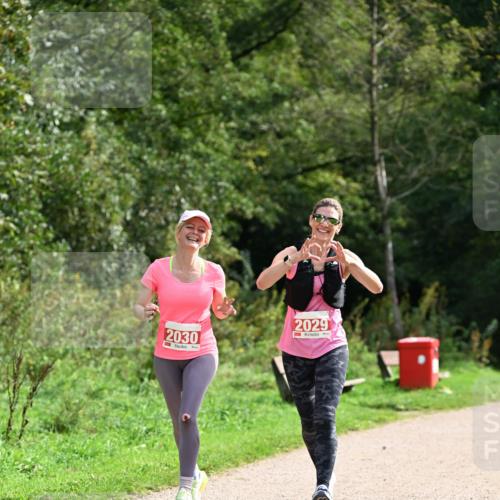 27.09.2026 - 35. Volkslauf durch das schöne Alstertal Dr. Thomas Lammeyer http://msf.ph/oto/10581960 27.09.2026 12:30:00 Laufen 2030, 2029 meine-sportfotos.de