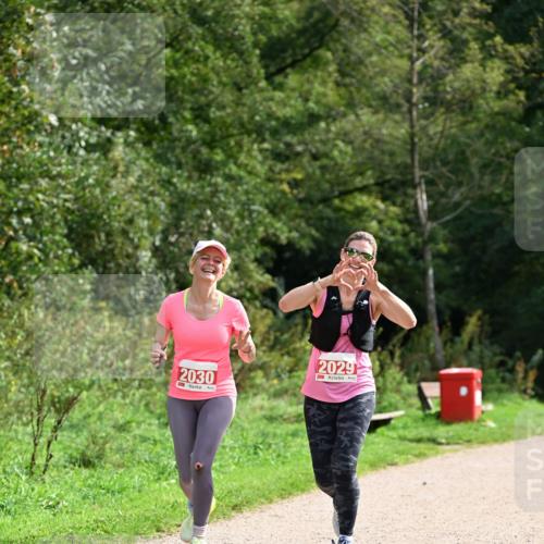 27.09.2026 - 35. Volkslauf durch das schöne Alstertal Dr. Thomas Lammeyer http://msf.ph/oto/10581961 27.09.2026 12:30:00 Laufen 2030, 2029 meine-sportfotos.de