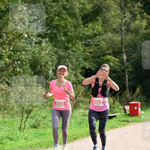 27.09.2026 - 35. Volkslauf durch das schöne Alstertal Dr. Thomas Lammeyer http://msf.ph/oto/10581962 27.09.2026 12:30:00 Laufen 2030, 2029 meine-sportfotos.de