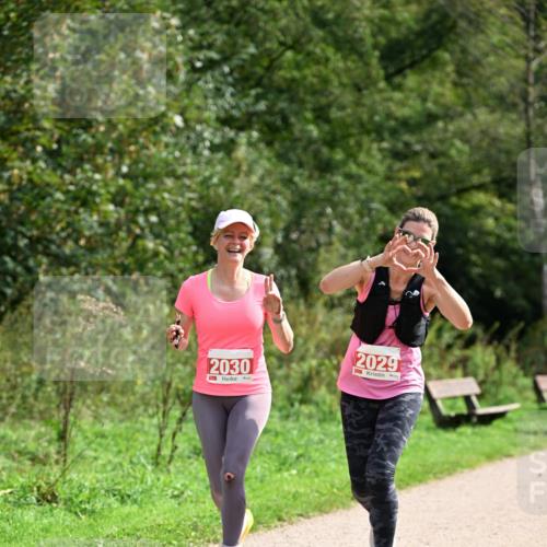 27.09.2026 - 35. Volkslauf durch das schöne Alstertal Dr. Thomas Lammeyer http://msf.ph/oto/10581968 27.09.2026 12:30:01 Laufen 2030, 2029 meine-sportfotos.de