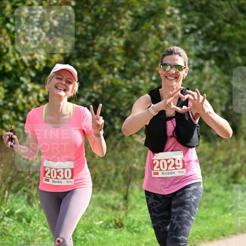 27.09.2026 - 35. Volkslauf durch das schöne Alstertal Dr. Thomas Lammeyer http://msf.ph/oto/10581980 27.09.2026 12:30:02 Laufen 2030, 2029 meine-sportfotos.de