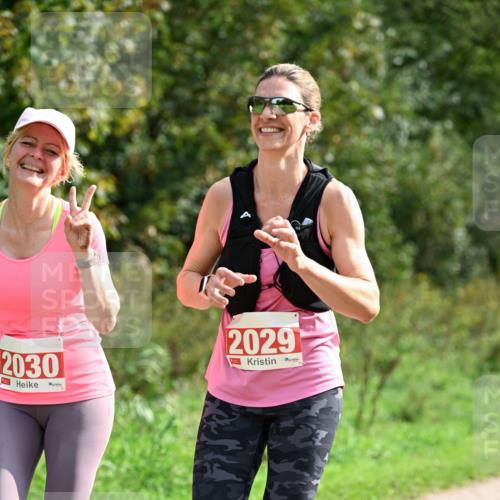27.09.2026 - 35. Volkslauf durch das schöne Alstertal Dr. Thomas Lammeyer http://msf.ph/oto/10581982 27.09.2026 12:30:02 Laufen 2030, 2029 meine-sportfotos.de