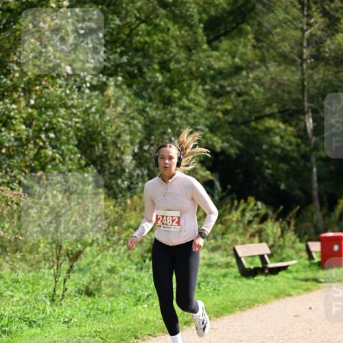27.09.2026 - 35. Volkslauf durch das schöne Alstertal Dr. Thomas Lammeyer http://msf.ph/oto/10581987 27.09.2026 12:30:20 Laufen 2482 meine-sportfotos.de