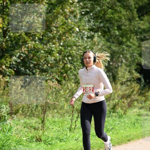 27.09.2026 - 35. Volkslauf durch das schöne Alstertal Dr. Thomas Lammeyer http://msf.ph/oto/10581994 27.09.2026 12:30:21 Laufen 2482 meine-sportfotos.de