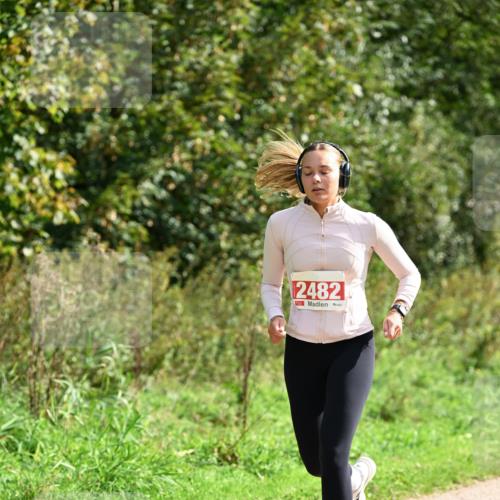 27.09.2026 - 35. Volkslauf durch das schöne Alstertal Dr. Thomas Lammeyer http://msf.ph/oto/10581997 27.09.2026 12:30:21 Laufen 2482 meine-sportfotos.de