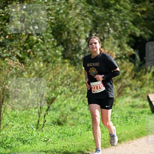 27.09.2026 - 35. Volkslauf durch das schöne Alstertal Dr. Thomas Lammeyer http://msf.ph/oto/10582014 27.09.2026 12:30:41 Laufen 2270 meine-sportfotos.de