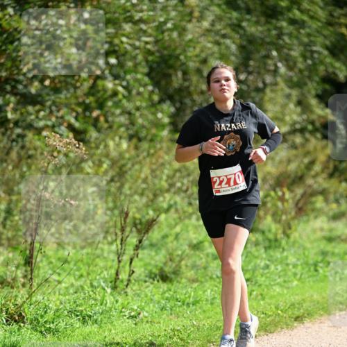 27.09.2026 - 35. Volkslauf durch das schöne Alstertal Dr. Thomas Lammeyer http://msf.ph/oto/10582017 27.09.2026 12:30:41 Laufen 2270 meine-sportfotos.de