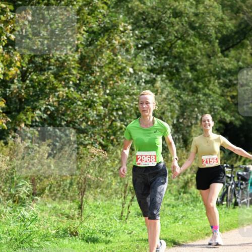 27.09.2026 - 35. Volkslauf durch das schöne Alstertal Dr. Thomas Lammeyer http://msf.ph/oto/10582032 27.09.2026 12:31:30 Laufen 2968, 2155 meine-sportfotos.de