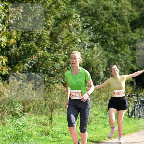 27.09.2026 - 35. Volkslauf durch das schöne Alstertal Dr. Thomas Lammeyer http://msf.ph/oto/10582034 27.09.2026 12:31:31 Laufen 2968, 2155 meine-sportfotos.de