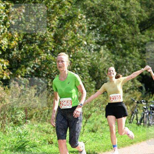 27.09.2026 - 35. Volkslauf durch das schöne Alstertal Dr. Thomas Lammeyer http://msf.ph/oto/10582037 27.09.2026 12:31:31 Laufen 2968, 2155 meine-sportfotos.de