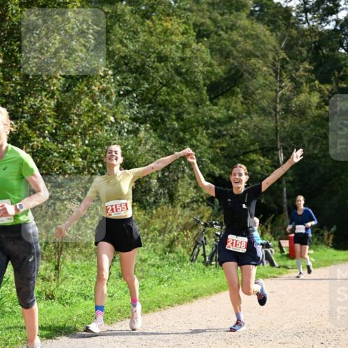 27.09.2026 - 35. Volkslauf durch das schöne Alstertal Dr. Thomas Lammeyer http://msf.ph/oto/10582040 27.09.2026 12:31:31 Laufen 2155, 2158 meine-sportfotos.de