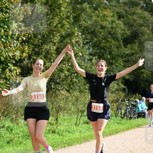 27.09.2026 - 35. Volkslauf durch das schöne Alstertal Dr. Thomas Lammeyer http://msf.ph/oto/10582049 27.09.2026 12:31:32 Laufen 2155, 2158 meine-sportfotos.de