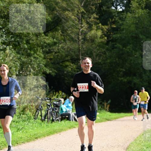 27.09.2026 - 35. Volkslauf durch das schöne Alstertal Dr. Thomas Lammeyer http://msf.ph/oto/10582061 27.09.2026 12:31:36 Laufen 2250, 2237 meine-sportfotos.de
