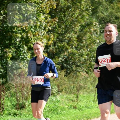 27.09.2026 - 35. Volkslauf durch das schöne Alstertal Dr. Thomas Lammeyer http://msf.ph/oto/10582075 27.09.2026 12:31:37 Laufen 2250, 2237 meine-sportfotos.de
