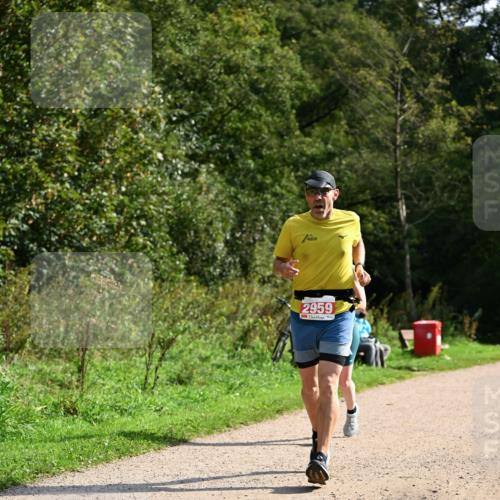 27.09.2026 - 35. Volkslauf durch das schöne Alstertal Dr. Thomas Lammeyer http://msf.ph/oto/10582081 27.09.2026 12:31:44 Laufen 2959 meine-sportfotos.de