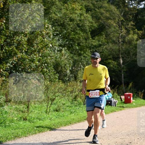 27.09.2026 - 35. Volkslauf durch das schöne Alstertal Dr. Thomas Lammeyer http://msf.ph/oto/10582082 27.09.2026 12:31:44 Laufen 2959 meine-sportfotos.de