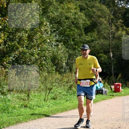27.09.2026 - 35. Volkslauf durch das schöne Alstertal Dr. Thomas Lammeyer http://msf.ph/oto/10582084 27.09.2026 12:31:44 Laufen 2959 meine-sportfotos.de