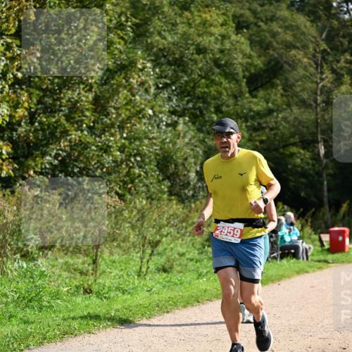 27.09.2026 - 35. Volkslauf durch das schöne Alstertal Dr. Thomas Lammeyer http://msf.ph/oto/10582086 27.09.2026 12:31:44 Laufen 2959 meine-sportfotos.de