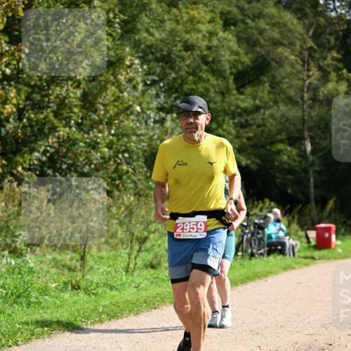 27.09.2026 - 35. Volkslauf durch das schöne Alstertal Dr. Thomas Lammeyer http://msf.ph/oto/10582090 27.09.2026 12:31:45 Laufen 2959 meine-sportfotos.de