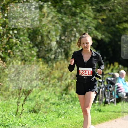 27.09.2026 - 35. Volkslauf durch das schöne Alstertal Dr. Thomas Lammeyer http://msf.ph/oto/10582174 27.09.2026 12:33:05 Laufen 2341 meine-sportfotos.de