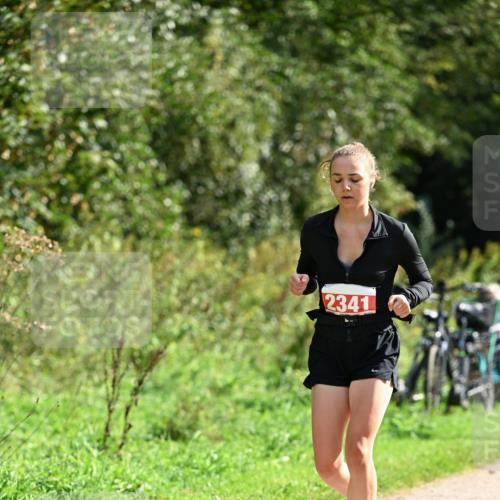 27.09.2026 - 35. Volkslauf durch das schöne Alstertal Dr. Thomas Lammeyer http://msf.ph/oto/10582175 27.09.2026 12:33:05 Laufen 2341 meine-sportfotos.de