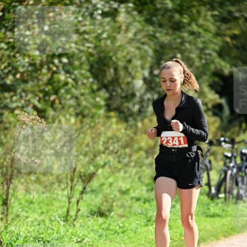 27.09.2026 - 35. Volkslauf durch das schöne Alstertal Dr. Thomas Lammeyer http://msf.ph/oto/10582177 27.09.2026 12:33:05 Laufen 2341 meine-sportfotos.de