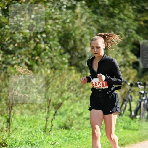 27.09.2026 - 35. Volkslauf durch das schöne Alstertal Dr. Thomas Lammeyer http://msf.ph/oto/10582178 27.09.2026 12:33:05 Laufen 2341 meine-sportfotos.de