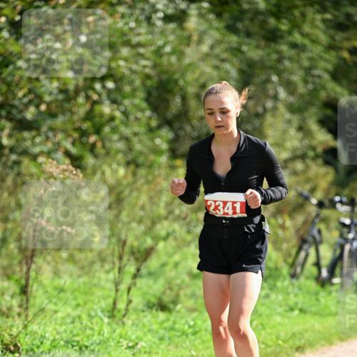 27.09.2026 - 35. Volkslauf durch das schöne Alstertal Dr. Thomas Lammeyer http://msf.ph/oto/10582179 27.09.2026 12:33:05 Laufen 2341 meine-sportfotos.de