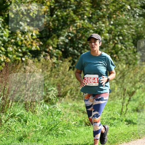 27.09.2026 - 35. Volkslauf durch das schöne Alstertal Dr. Thomas Lammeyer http://msf.ph/oto/10582200 27.09.2026 12:33:23 Laufen 2064 meine-sportfotos.de