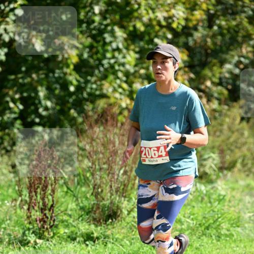 27.09.2026 - 35. Volkslauf durch das schöne Alstertal Dr. Thomas Lammeyer http://msf.ph/oto/10582208 27.09.2026 12:33:24 Laufen 2064 meine-sportfotos.de