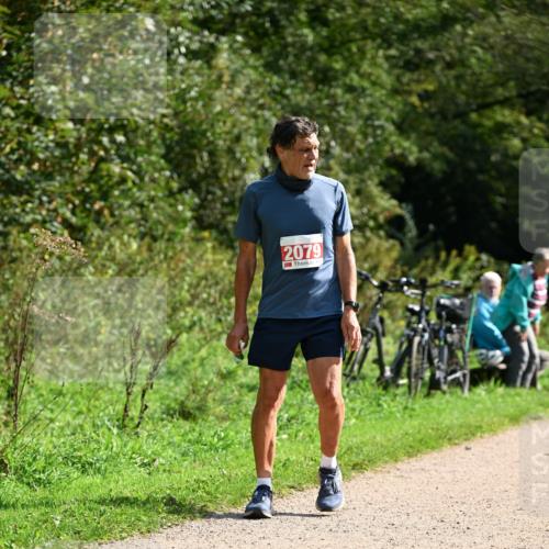 27.09.2026 - 35. Volkslauf durch das schöne Alstertal Dr. Thomas Lammeyer http://msf.ph/oto/10582210 27.09.2026 12:33:25 Laufen 2079 meine-sportfotos.de