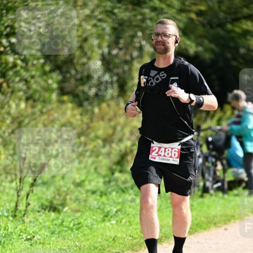 27.09.2026 - 35. Volkslauf durch das schöne Alstertal Dr. Thomas Lammeyer http://msf.ph/oto/10582218 27.09.2026 12:33:45 Laufen 2486 meine-sportfotos.de