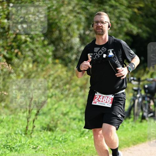 27.09.2026 - 35. Volkslauf durch das schöne Alstertal Dr. Thomas Lammeyer http://msf.ph/oto/10582221 27.09.2026 12:33:45 Laufen 2486 meine-sportfotos.de