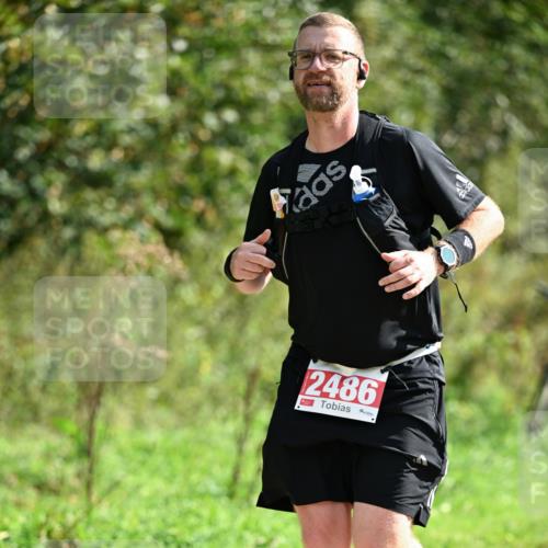 27.09.2026 - 35. Volkslauf durch das schöne Alstertal Dr. Thomas Lammeyer http://msf.ph/oto/10582227 27.09.2026 12:33:46 Laufen 2486 meine-sportfotos.de
