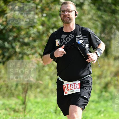 27.09.2026 - 35. Volkslauf durch das schöne Alstertal Dr. Thomas Lammeyer http://msf.ph/oto/10582229 27.09.2026 12:33:46 Laufen 2486 meine-sportfotos.de