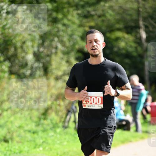 27.09.2026 - 35. Volkslauf durch das schöne Alstertal Dr. Thomas Lammeyer http://msf.ph/oto/10582299 27.09.2026 12:34:10 Laufen 300 meine-sportfotos.de