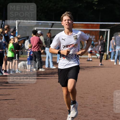 27.09.2026 - 35. Volkslauf durch das schöne Alstertal Strokosch-Dieckow http://msf.ph/oto/10582539 27.09.2026 11:17:27 Ziel 2396, 3968, 3976, 3997 meine-sportfotos.de