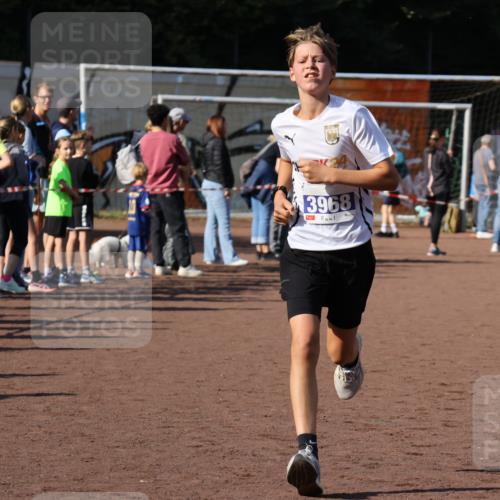 27.09.2026 - 35. Volkslauf durch das schöne Alstertal Strokosch-Dieckow http://msf.ph/oto/10582542 27.09.2026 11:17:26 Ziel 3144, 3968, 3997 meine-sportfotos.de