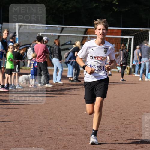 27.09.2026 - 35. Volkslauf durch das schöne Alstertal Strokosch-Dieckow http://msf.ph/oto/10582546 27.09.2026 11:17:26 Ziel 3144, 3968, 3997 meine-sportfotos.de