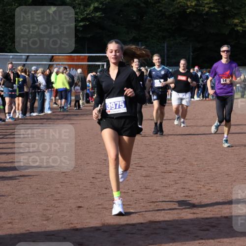 27.09.2026 - 35. Volkslauf durch das schöne Alstertal Strokosch-Dieckow http://msf.ph/oto/10582955 27.09.2026 11:31:45 Ziel 1417, 2216, 3214, 3370, 3951, 3960, 3975 meine-sportfotos.de