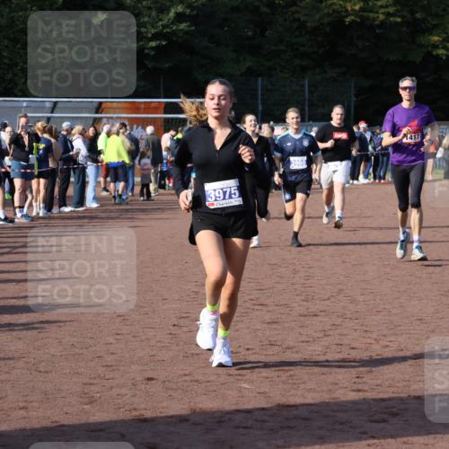 27.09.2026 - 35. Volkslauf durch das schöne Alstertal Strokosch-Dieckow http://msf.ph/oto/10582958 27.09.2026 11:31:45 Ziel 1417, 2216, 3214, 3370, 3951, 3960, 3975 meine-sportfotos.de