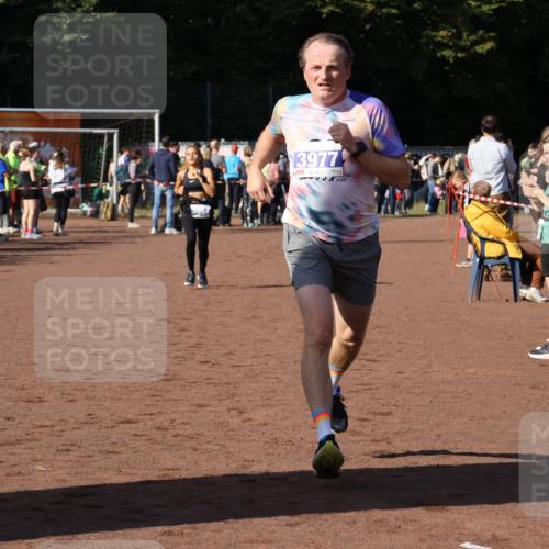 27.09.2026 - 35. Volkslauf durch das schöne Alstertal Strokosch-Dieckow http://msf.ph/oto/10583049 27.09.2026 11:27:07 Ziel 3326, 3977, 3994 meine-sportfotos.de