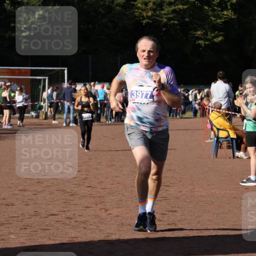27.09.2026 - 35. Volkslauf durch das schöne Alstertal Strokosch-Dieckow http://msf.ph/oto/10583055 27.09.2026 11:27:07 Ziel 3326, 3977, 3994 meine-sportfotos.de