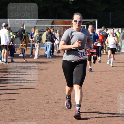 27.09.2026 - 35. Volkslauf durch das schöne Alstertal Strokosch-Dieckow http://msf.ph/oto/10583955 27.09.2026 11:42:08 Ziel 1433, 3143, 3170, 3337, 3338 meine-sportfotos.de
